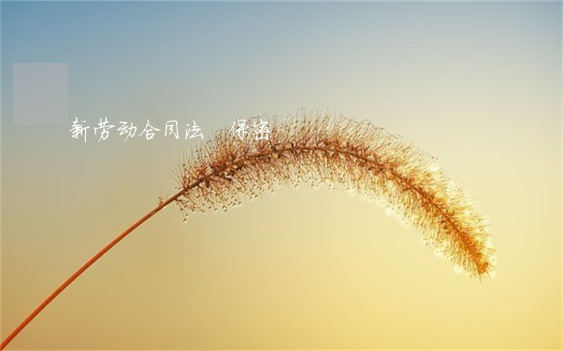 新劳动合同法 保密 新劳动合同法 保密